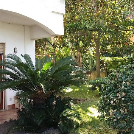Giardino Mediterraneo Lacco Ameno  Exteriör bild
