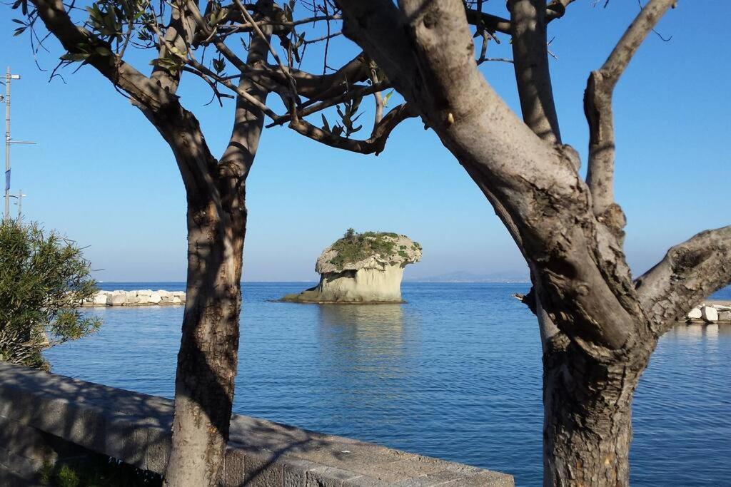 Giardino Mediterraneo Lacco Ameno  Exteriör bild