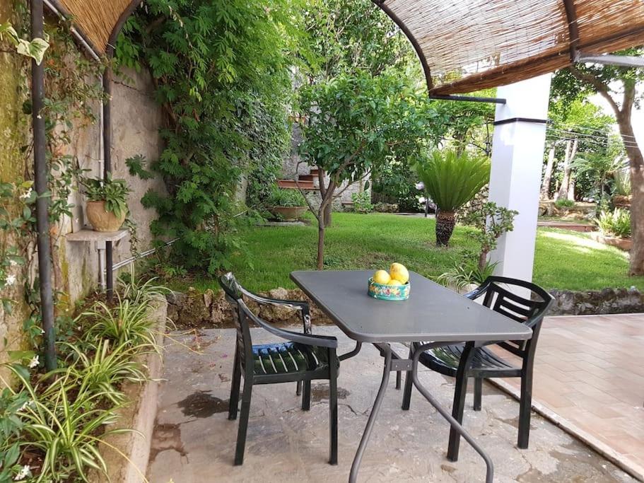 Giardino Mediterraneo Lacco Ameno  Exteriör bild