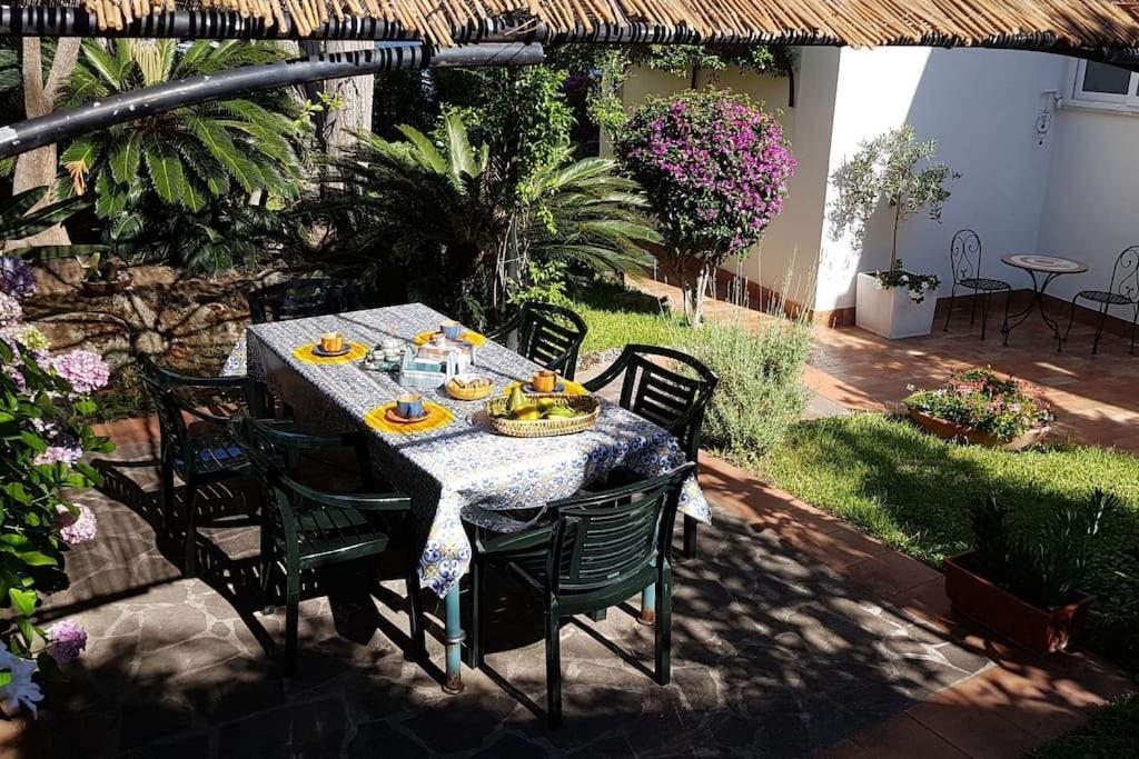 Giardino Mediterraneo Lacco Ameno  Exteriör bild